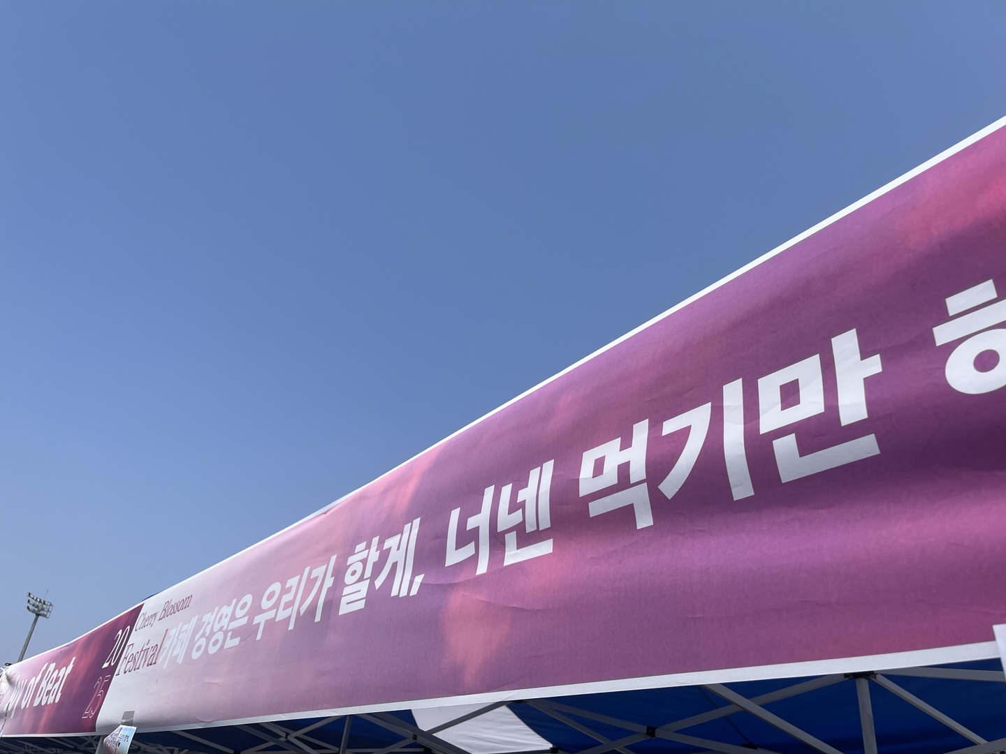 2025년 벚꽃제 경영학과 부스 본문 첫번재 이미지